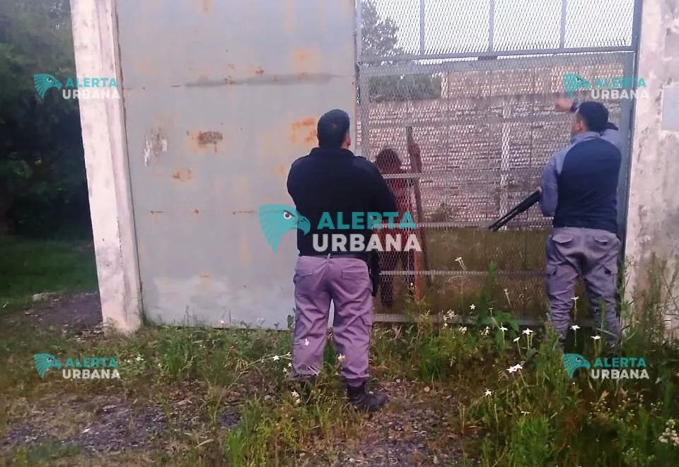 WhatsApp Image 2025-11-06 at 7.23.21 AM.jpeg