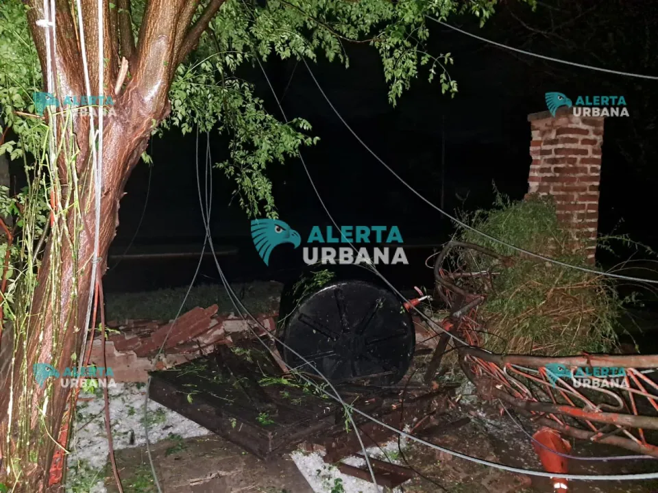 WhatsApp Image 2025-11-05 at 6.37.12 AM.jpeg