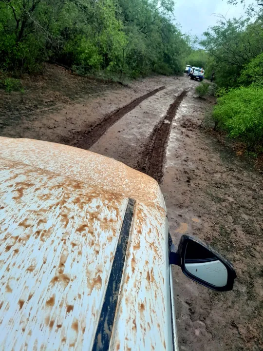 WhatsApp Image 2025-11-13 at 16.34.38 (1).jpeg