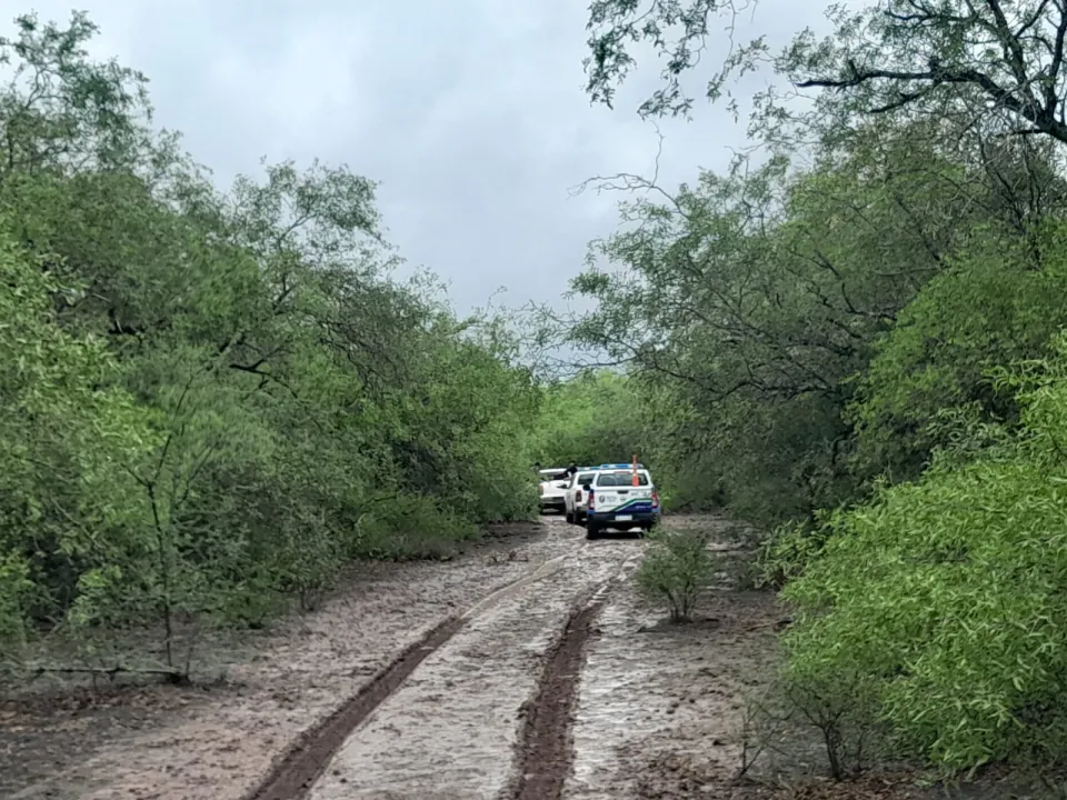 WhatsApp Image 2025-11-13 at 16.34.38.jpeg