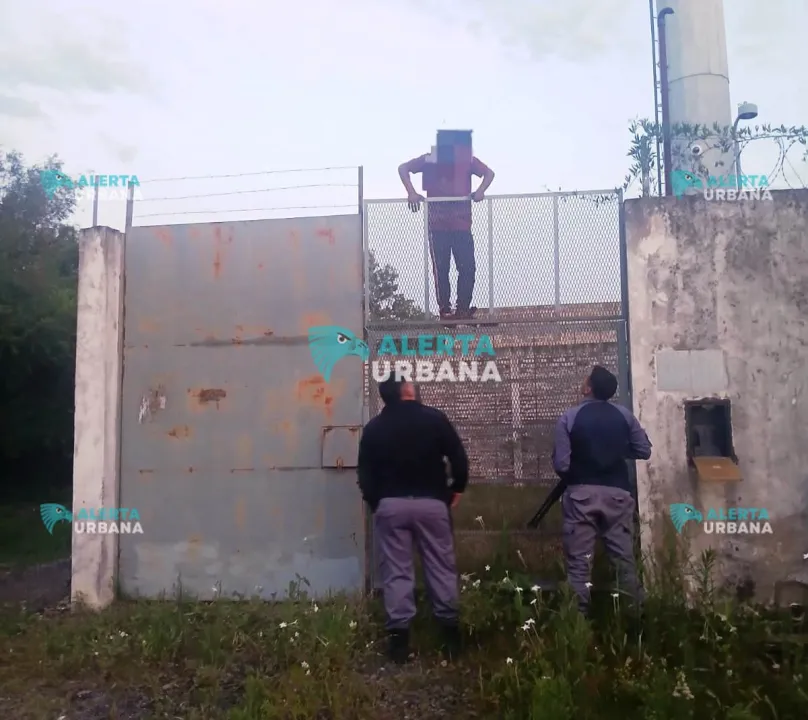 WhatsApp Image 2025-11-06 at 7.23.21 AM (2).jpeg